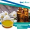 Jasmine Oil